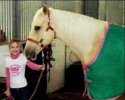 Dakota finds a great fun in horseback riding, playing violin, and piano.